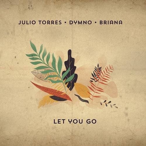 Julio Torres, Briana, Dymno - Let You Go (Extended) [G010004458391P]